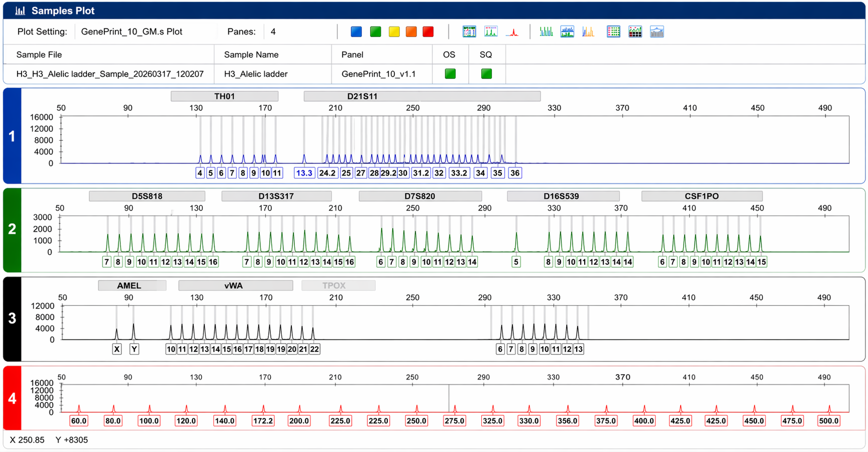 STR Authentication Assay