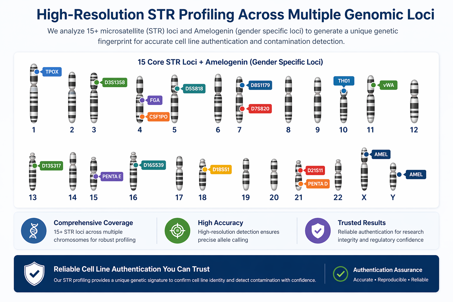 STR Profiling Overview
