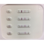 transfection reagent