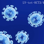 inducible premade tet-on OCT3/4 lentiviral particles for iPSC reprogramming