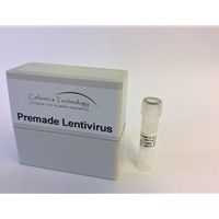 CMV-OTX2 lentivirus