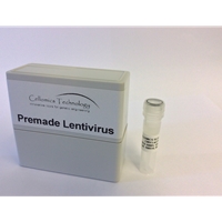 GFP puromycin lentivirus