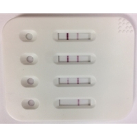 transfection reagent