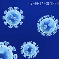EF1A-OCT3/4 premade lentiviral particles for iPSC reprogramming