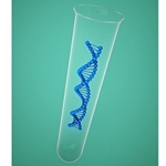 DNA Mutagenesis