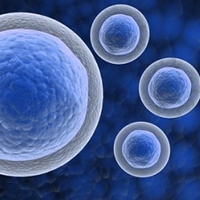 Gene Cloning